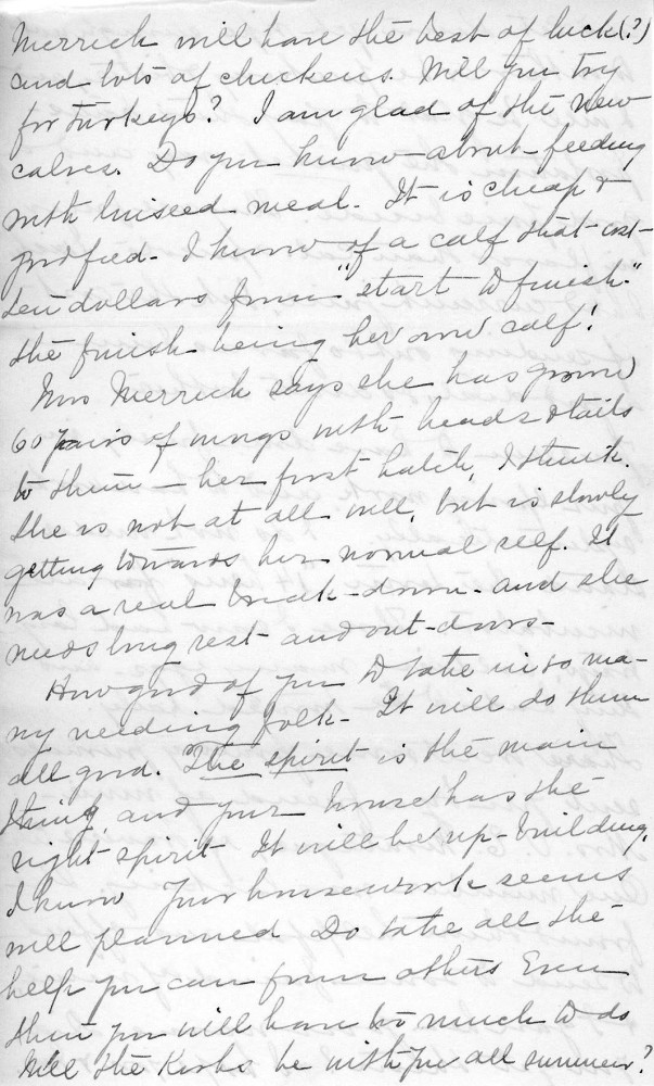 Letter - Juniata Stafford to Mrs W G Voorheis Jun 17 1904